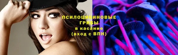 гидра Белоозёрский